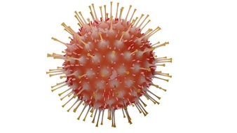 Corona-Virus Hintergrund - Was muss der Arzt wissen?
