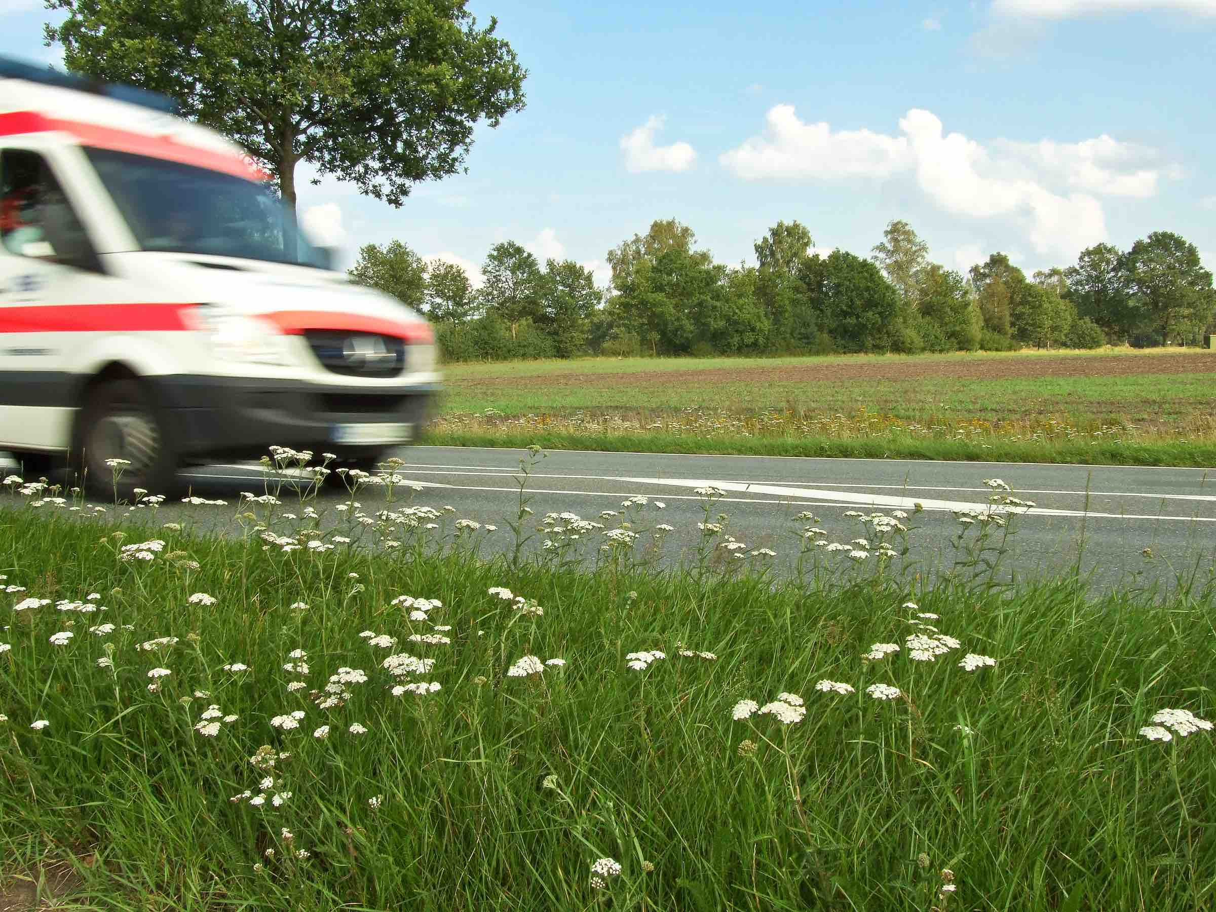 Statistische Grundlagen der Arztdichte und Patientenstruktur