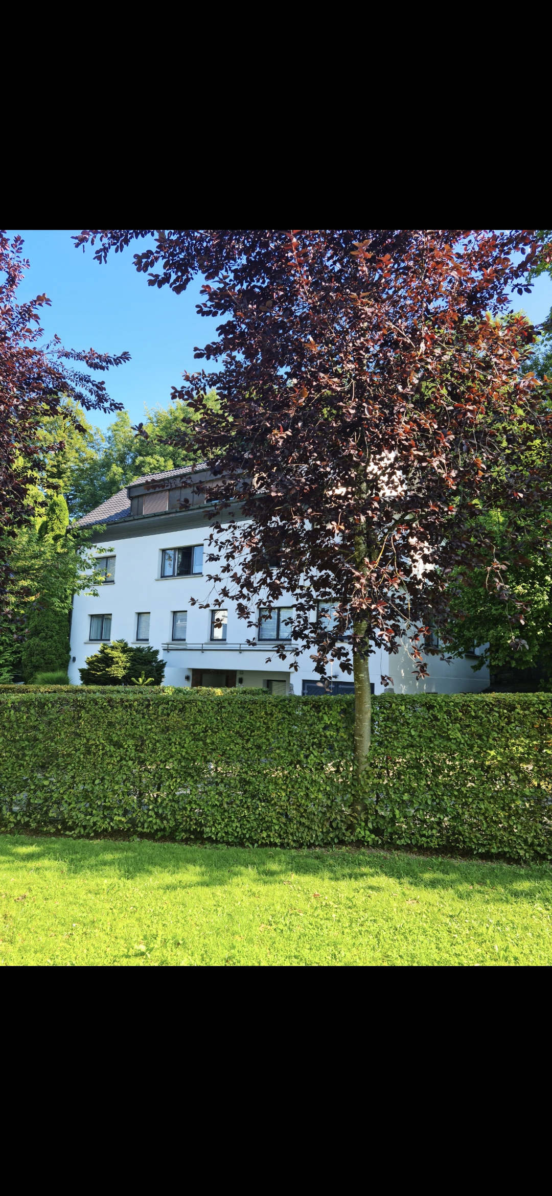 attraktive-praxisnachfolge-in-der-schweiz-150-qm-hoehere-lebensqualitaet-tiefere-steuern-herisau.jpg