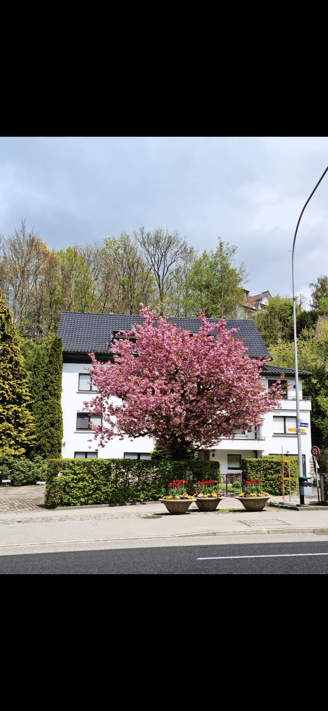 attraktive-praxisnachfolge-in-der-schweiz-150-qm-hoehere-lebensqualitaet-tiefere-steuern-herisau.jpg