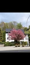 attraktive-praxisnachfolge-in-der-schweiz-150-qm-hoehere-lebensqualitaet-tiefere-steuern-herisau