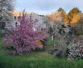 exklusive-eigentumswohnung-mit-gartenanteil-und-loggien-worms