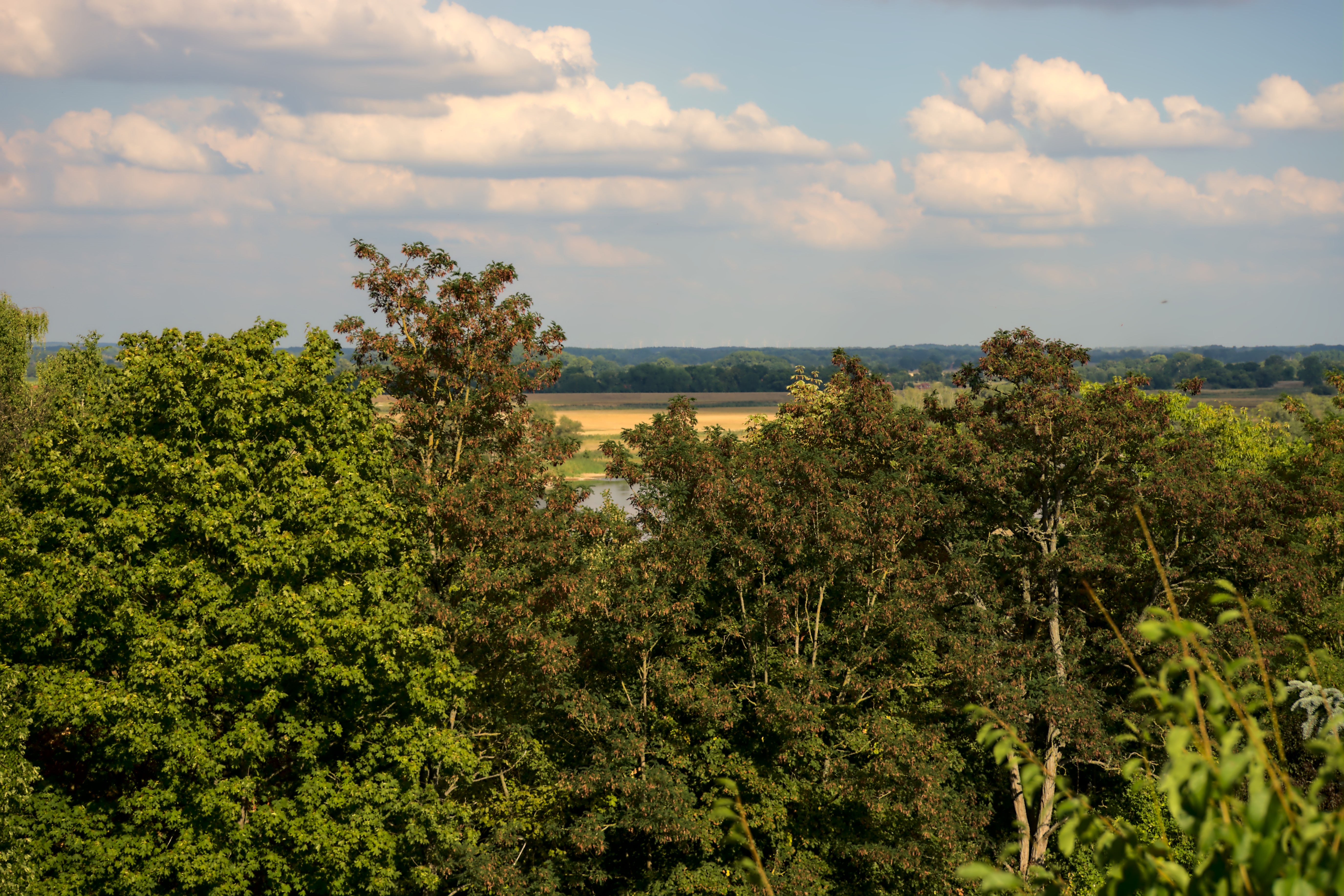 geraeumiger-bungalow-mit-herrlicher-aussicht-ueber-die-elbe-als-praxis-fuer-einen-landarzt-zu-vermieten-29456-hitzacker-elbe-deutschland.jpg