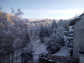 ideales-gewerbeobjekt-zum-wohnen-u-arbeiten-im-idyllischen-naturpark-harz-altenau