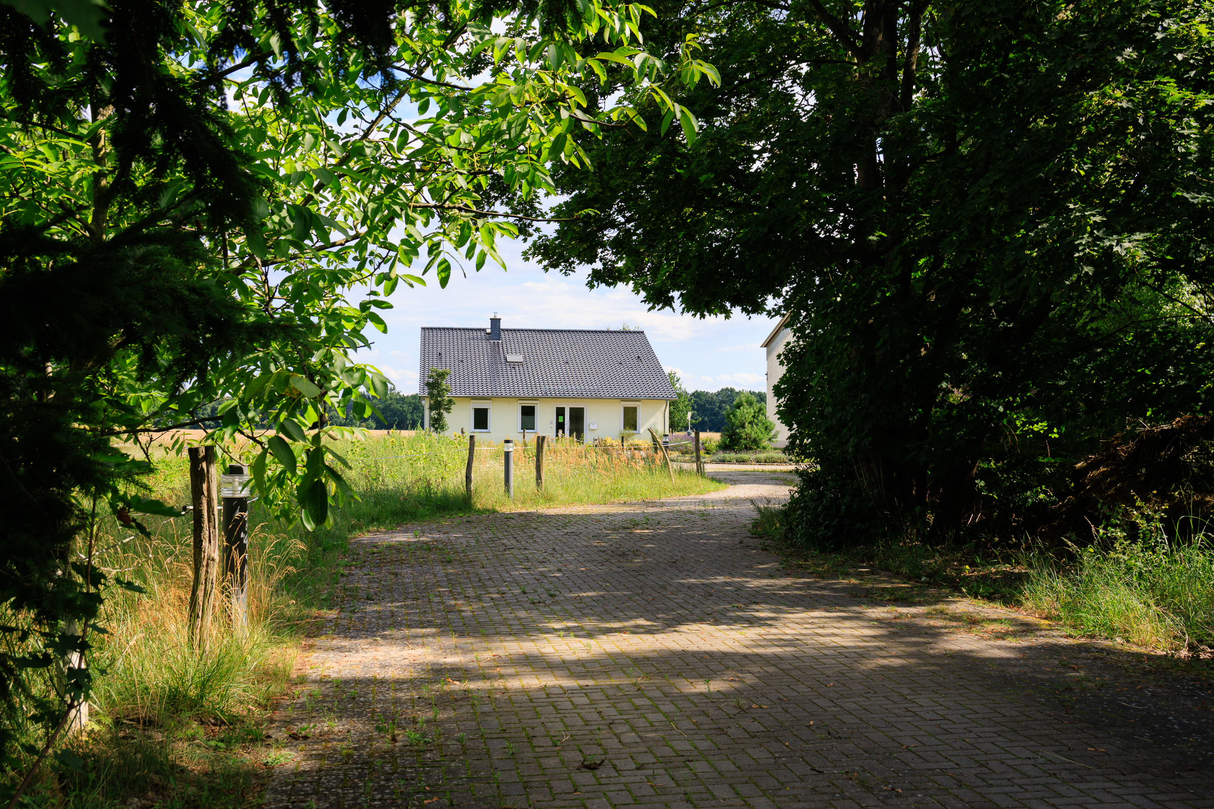 praxis-ruhig-und-sehr-schoene-aussicht-ins-gruene.jpg