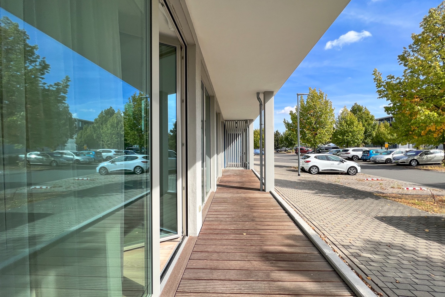 terrassenwohnung-in-uni-and-kliniknaehe-in-erfurt-99089-erfurt-deutschland.jpeg