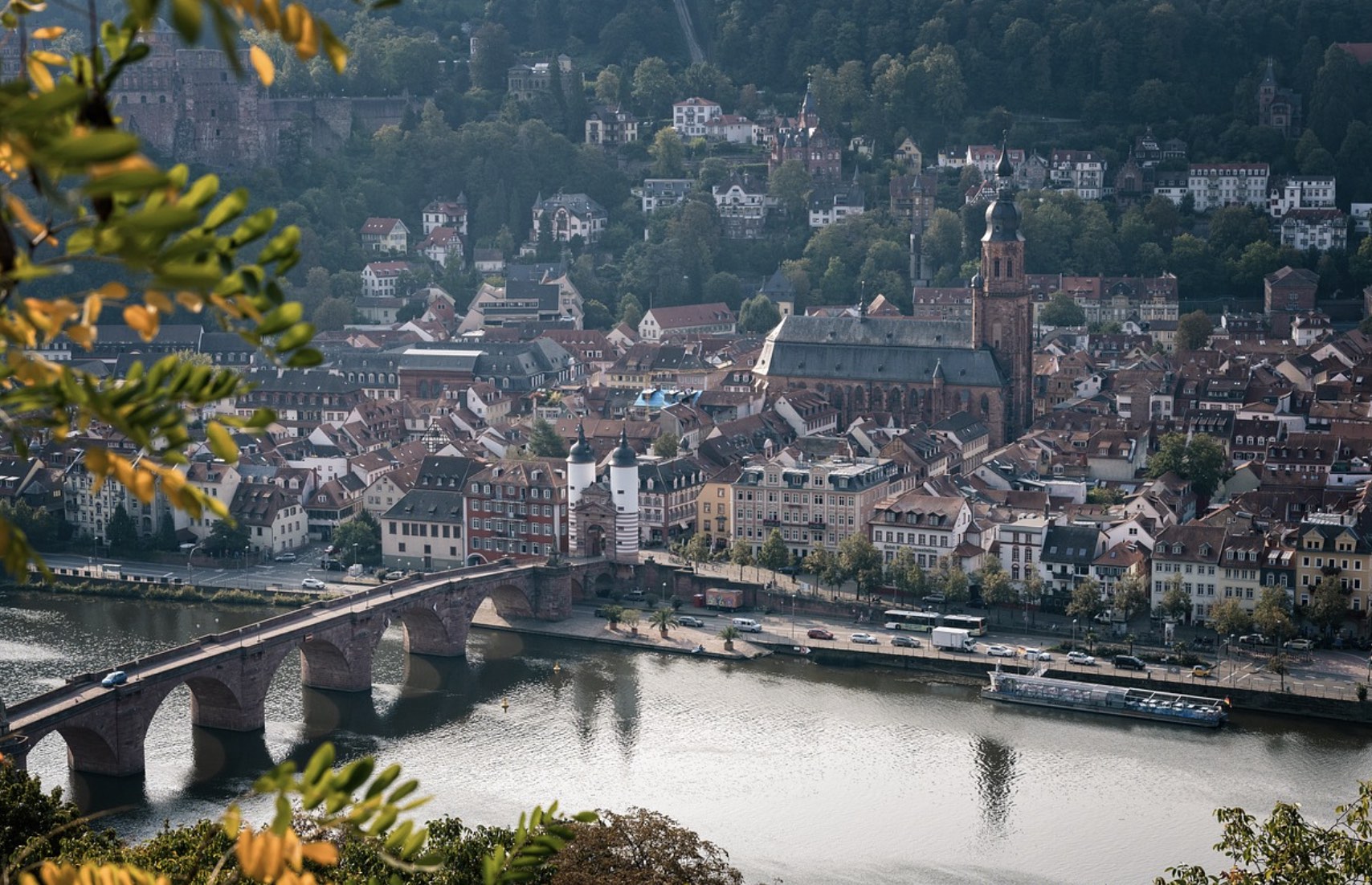 wg-zimmer-in-bester-lage-in-heidelberg.jpg