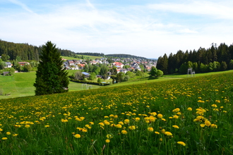 Panorama Schönwald