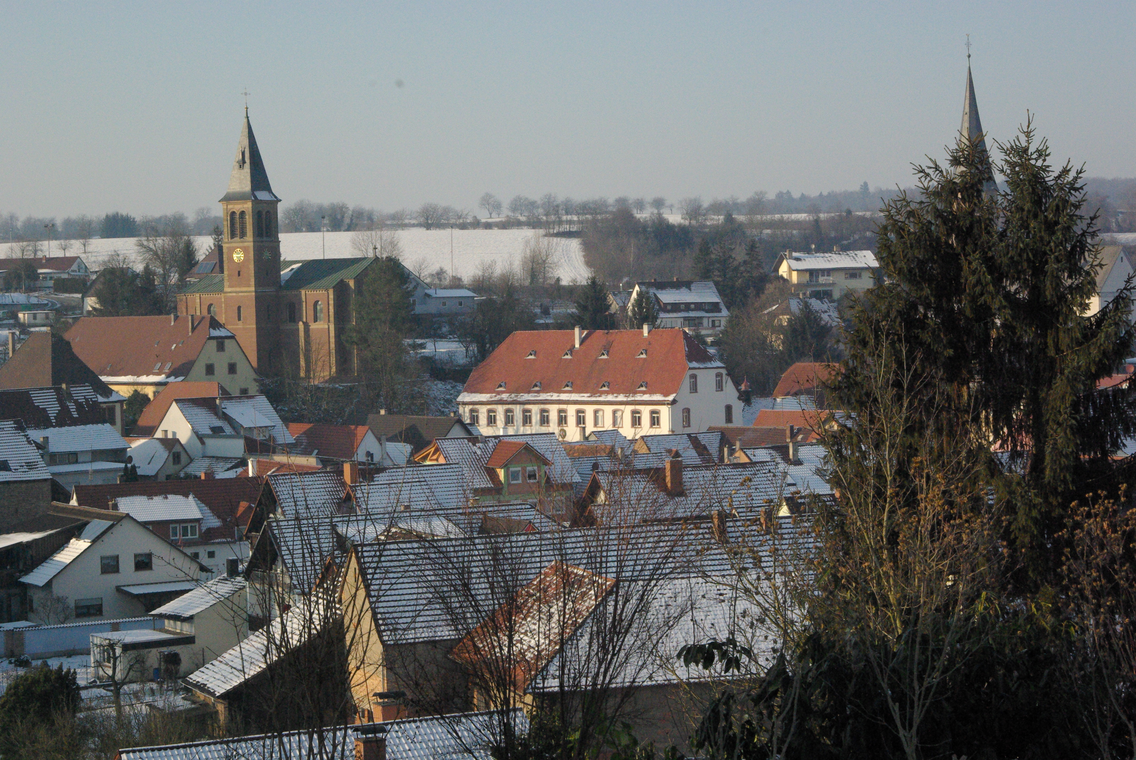 alteingefuehrte-landarztpraxis-naehe-bruchsal-abzugeben.jpg