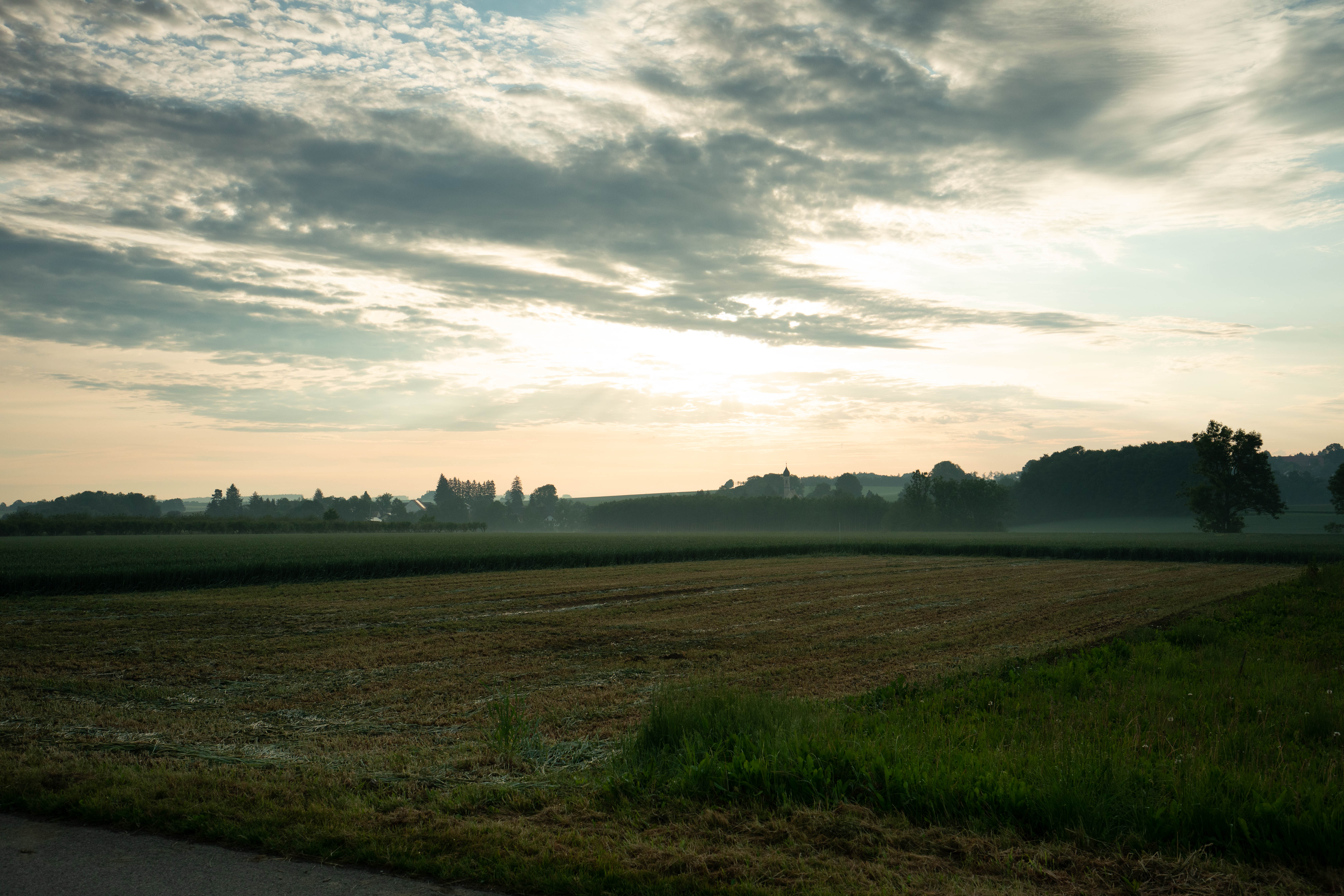 arzt-m-w-d-mit-naturkundlichem-ganzheitlichen-ansatz-fuer-wohlfuehloase-auf-dem-land.jpg