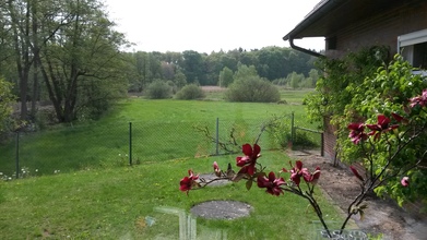 Freier Blick in die Natur