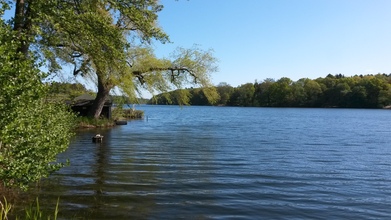 der Großensee