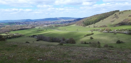 Stadtoldendorf