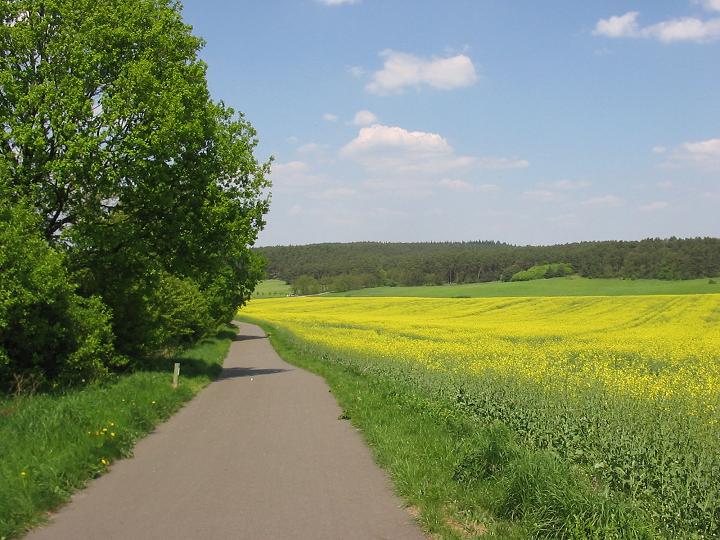 gesucht-niedergelassener-oder-angestellter-arzt-m-w-d-fuer-dahme-mark-80-km-suedlich-von-berlin-hausarzt-allgemeinmedizin.jpg