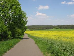 Wandern und Radeln auf über 200 km Fläming Skate: Von Dorf zu Dorf oder durch Wälder und Felder.