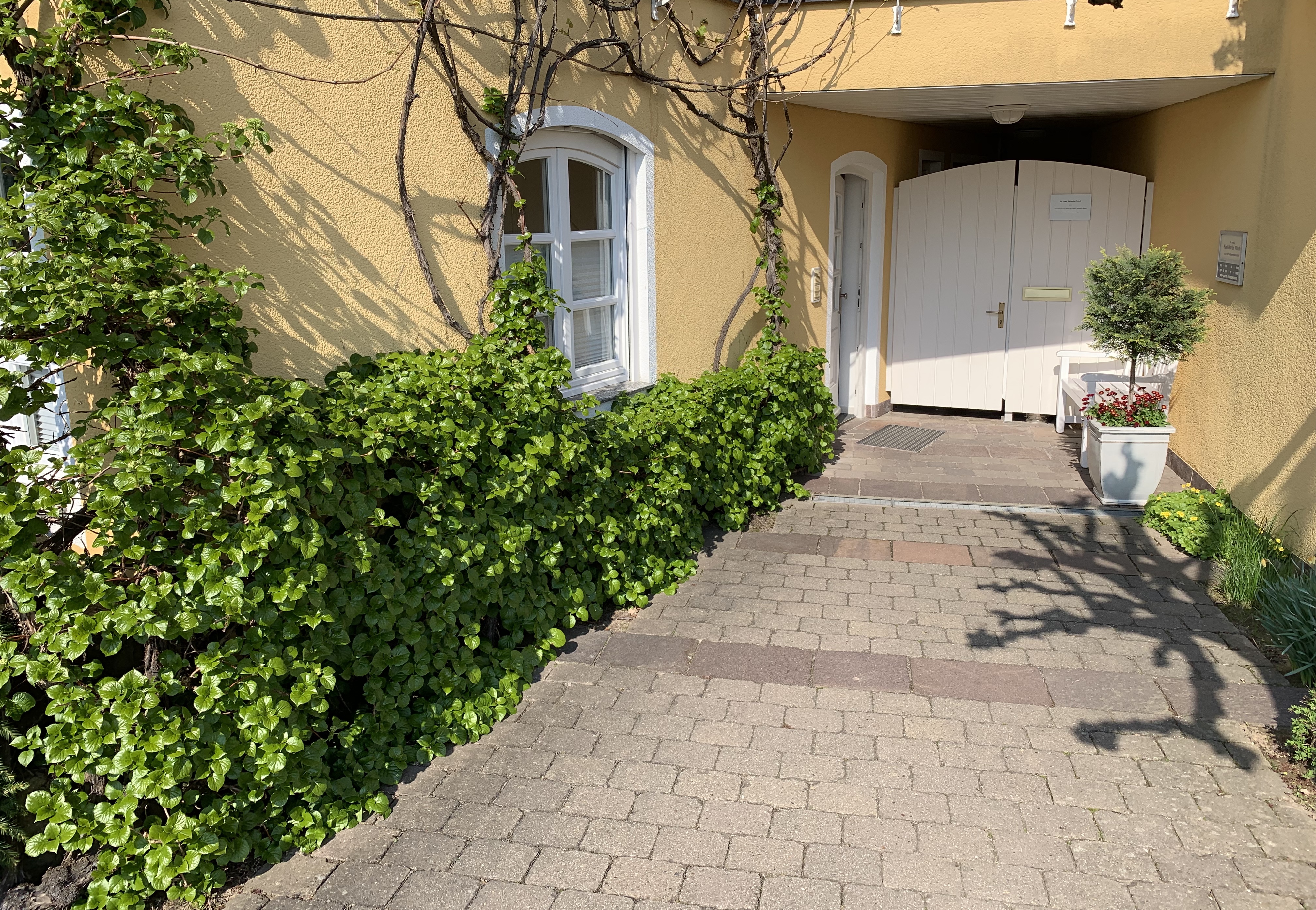 praxisabgabe-einer-ueberdurchschnittlich-grossen-und-sehr-gut-strukturierten-hausarztpraxis-mit-tollem-team-rems-murr-kreis-allgemeinmedizin.jpg