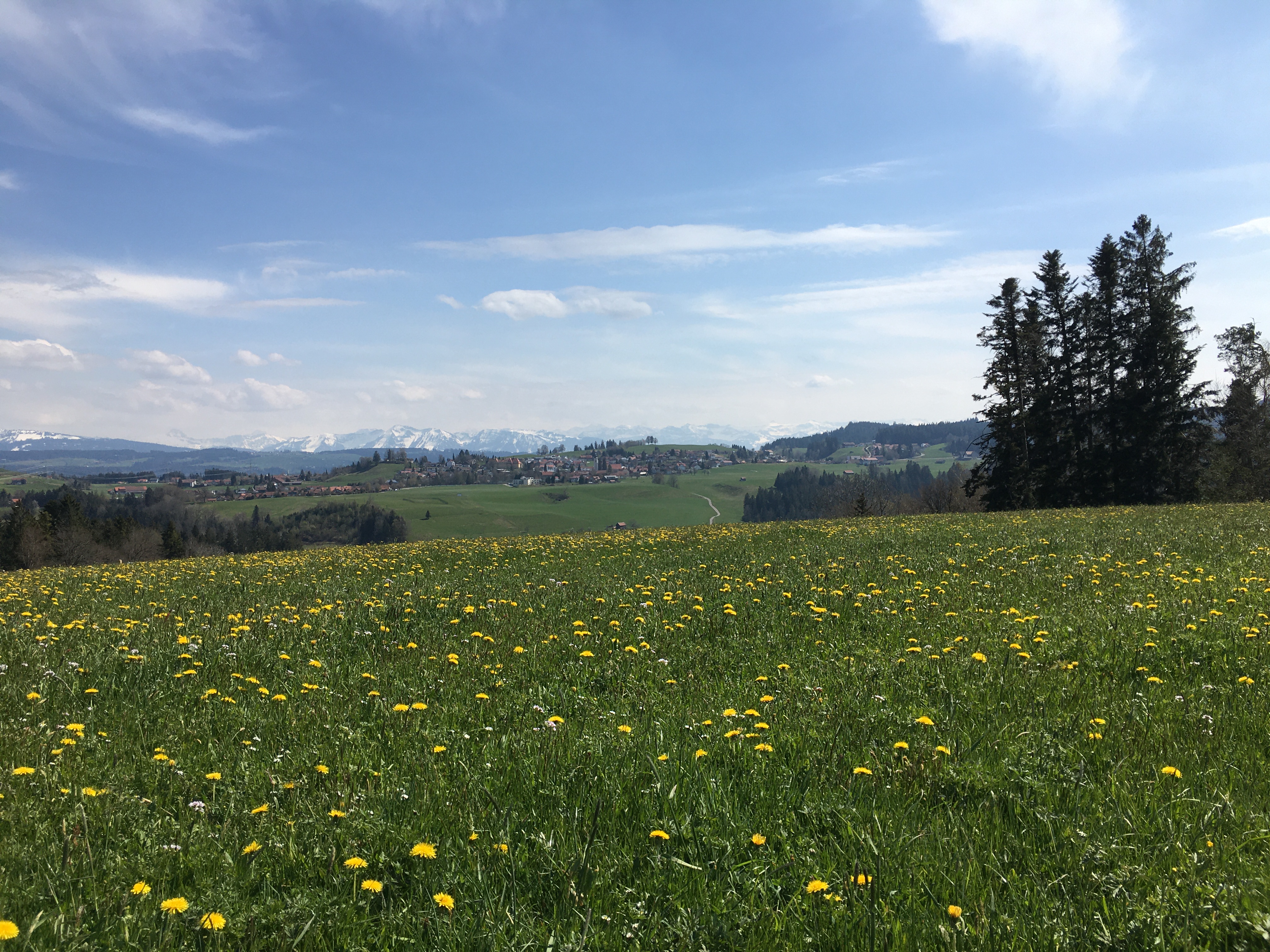 praxisanteil-allgemeinmedizinpraxis-lindau-bodensee-allgemeinmedizin-scheidegg.jpg