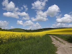 Umgebung von Malchin