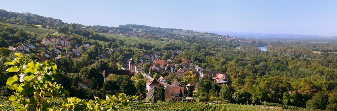 praxisboerse-sucht-hausarzt-in-bad-bellingen.jpg