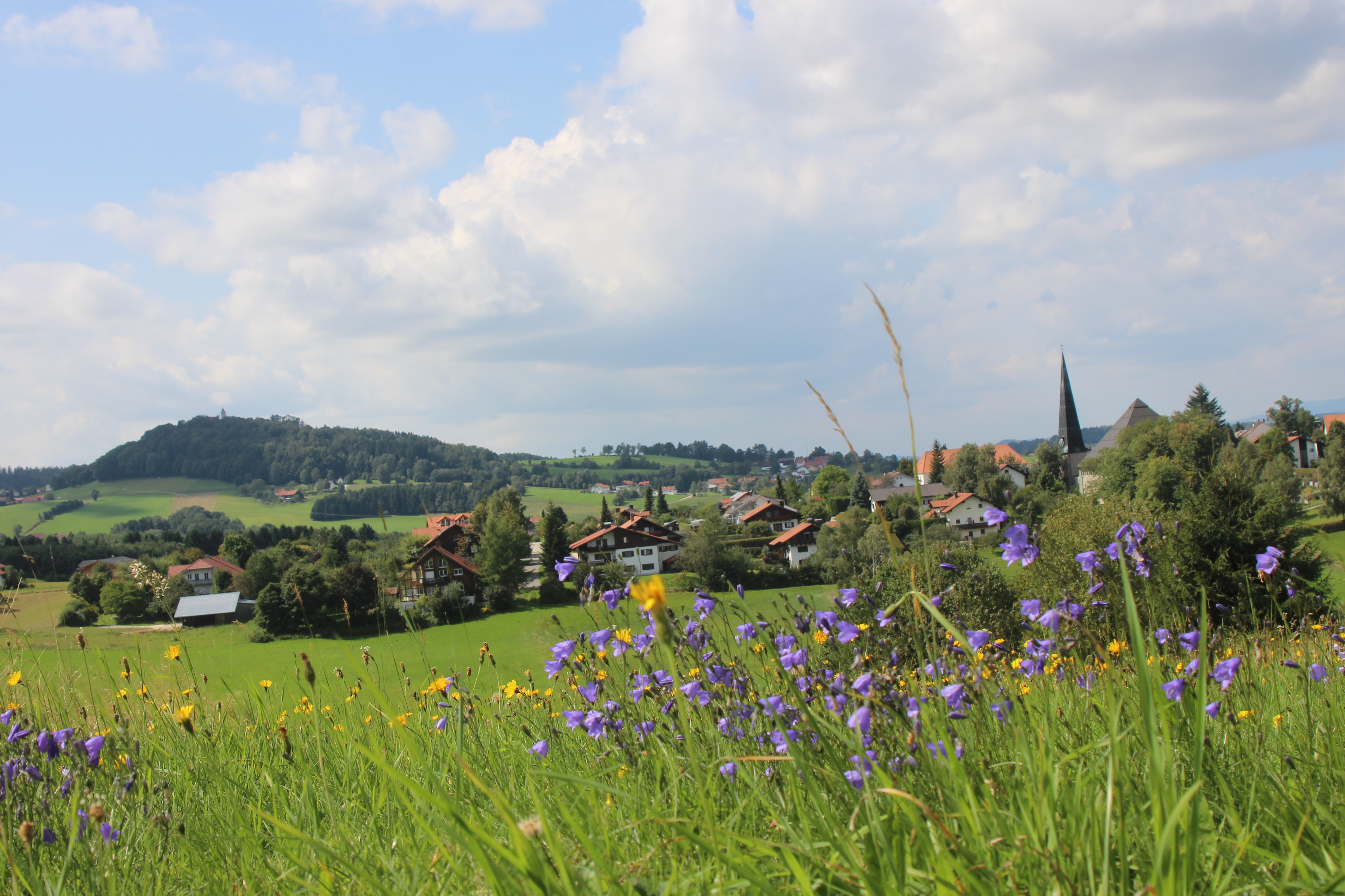 praxiskauf-allgemeinarztpraxis-einzelpraxis-bayerischer-wald-allgemeinmedizin-innere-medizin.jpg