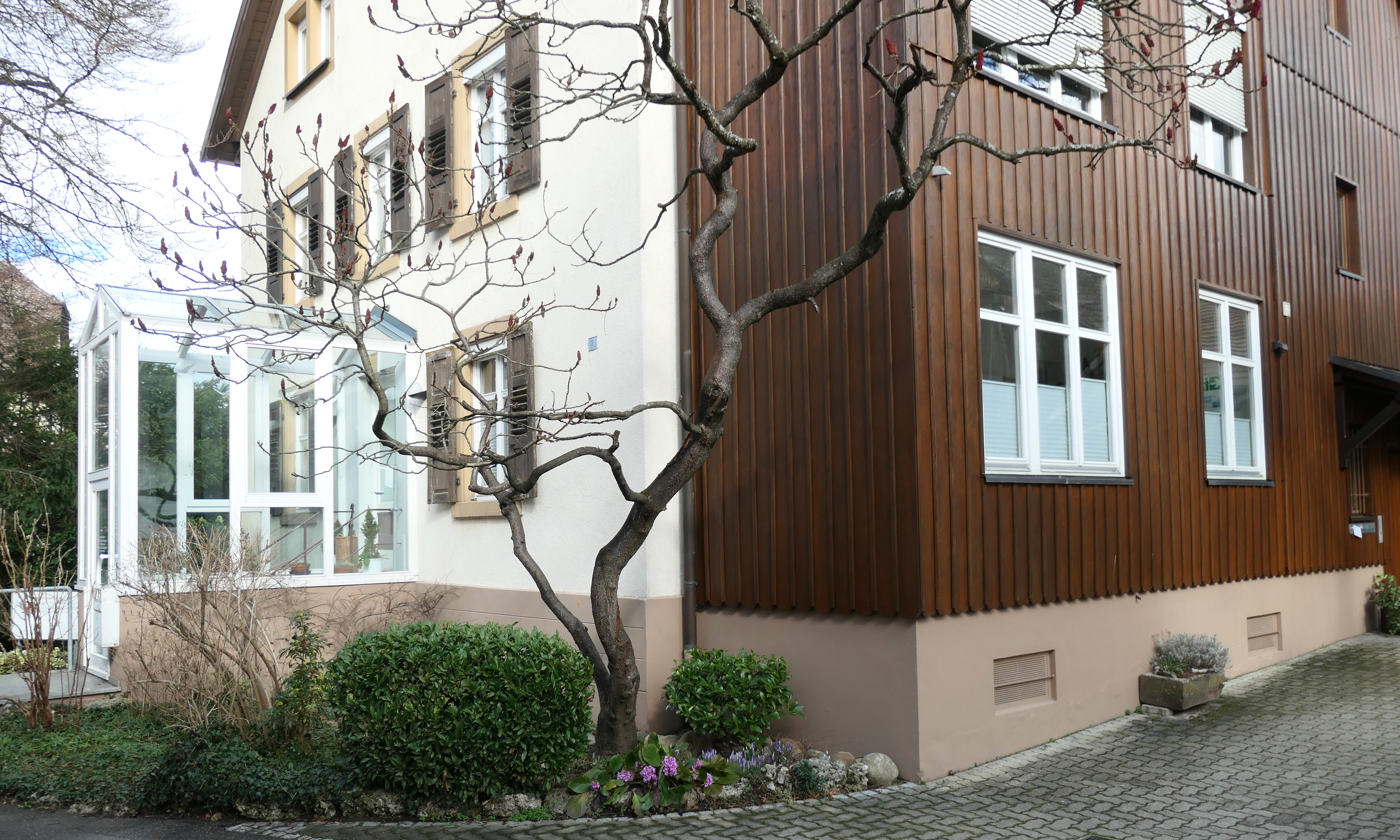 praxisnachfolge-fuer-attraktive-gemeinschaftspraxis-im-drei-laendereck-d-ch-f-gesucht-hausarzt-innere-medizin-kandern.jpg