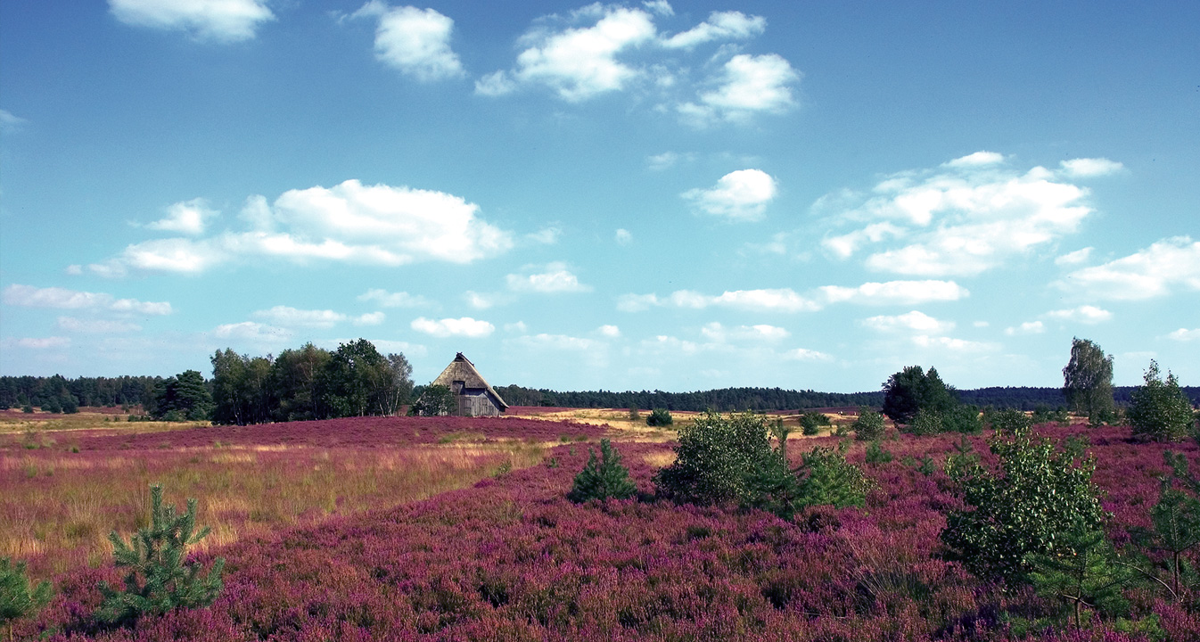 sofortige-praxisuebernahme-hausarztpraxis-in-lueneburger-heide.jpg