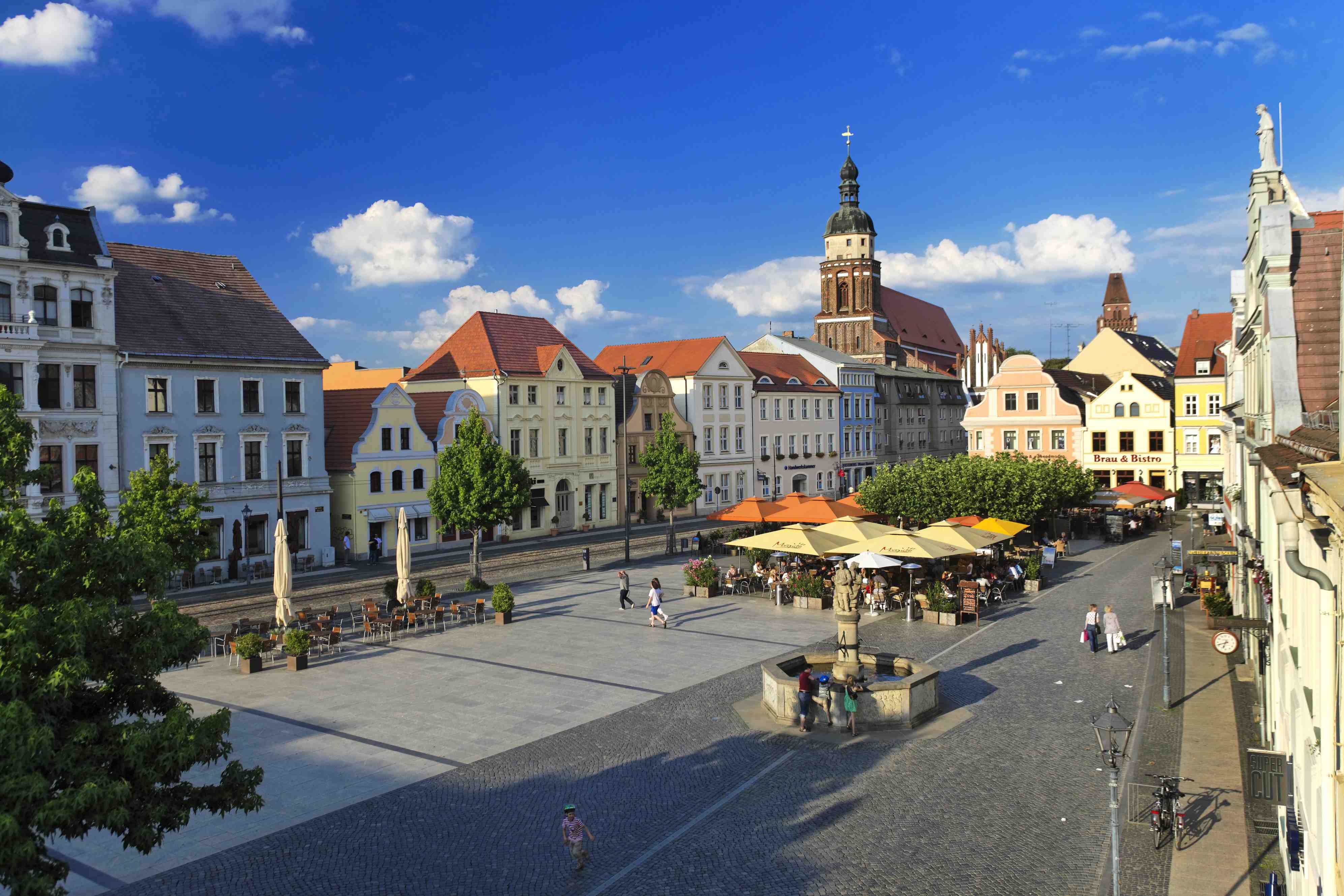 arzt-sucht-praxis-praxisuebernahme-neurologie-in-cottbus.jpg