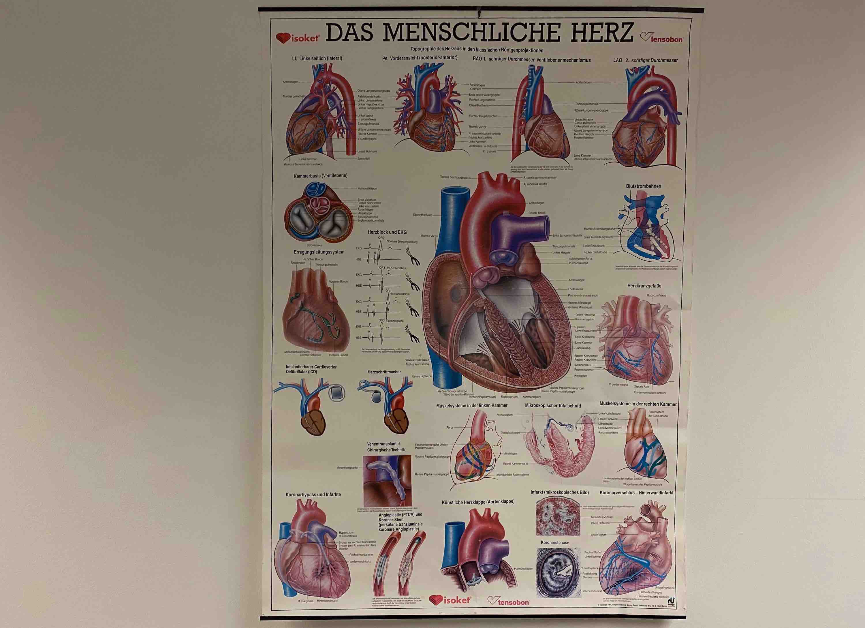 erfahrene-kardiologin-sucht-praxisraeume-im-koelner-sueden.jpg