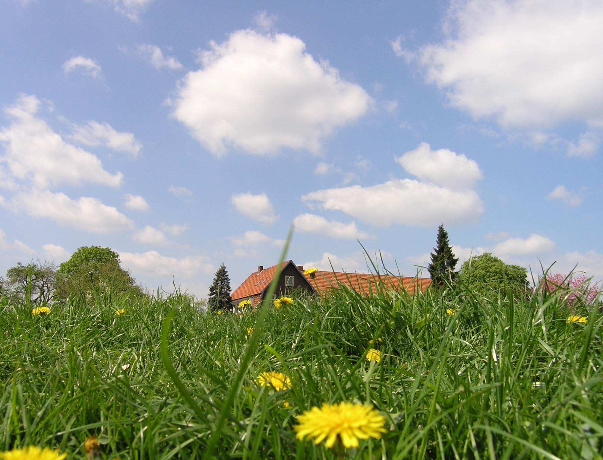 suche-hausarztpraxis-im-muensterland-zum-praxiskauf-als-praxisnachfolger.jpg