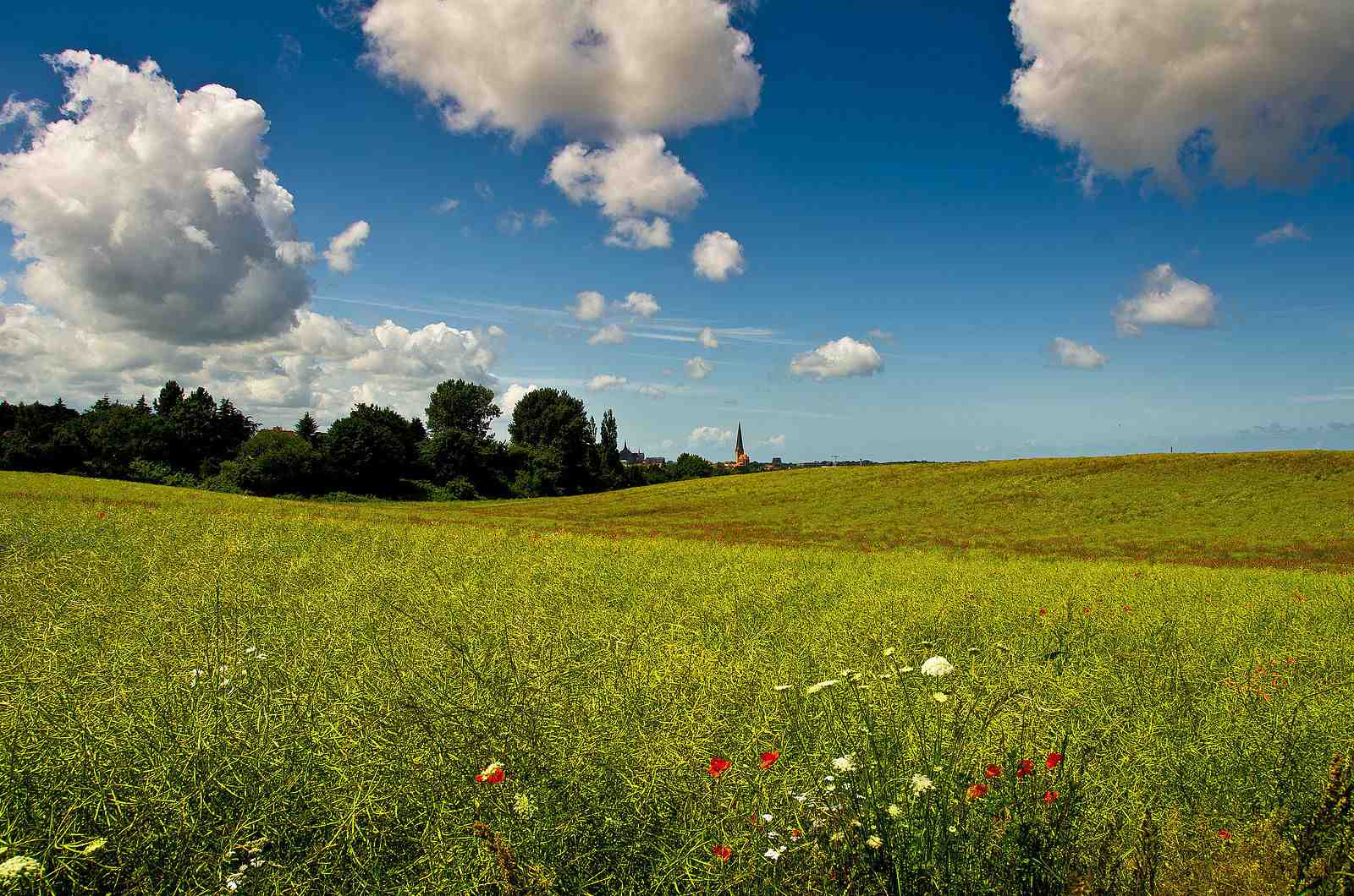 suche-hausarztpraxis-in-schleswig-holstein-zur-praxisuebernahme.jpg