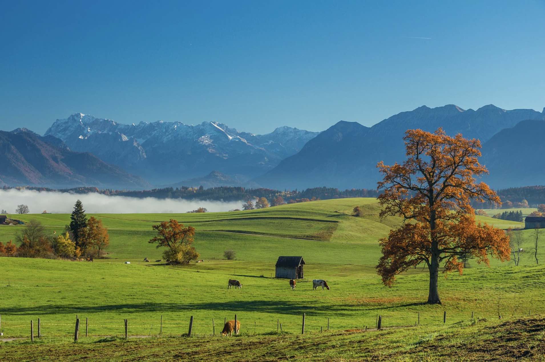 anstellung-fuer-hausaerztliche-medizin-allgemeinmedizin-hausaerztlich-innere-medizin-in-bayern-gesucht.jpg